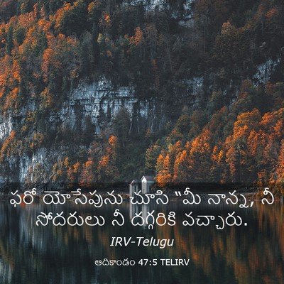 Picture 03 - ఆదికాండం 47:5 TELIRV - ఫరో యోసేపును చూసి - Bible Verse Picture