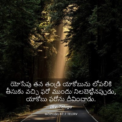 Picture 03 - ఆదికాండం 47:7 TELIRV - యోసేపు తన తండ్రి - Bible Verse Picture