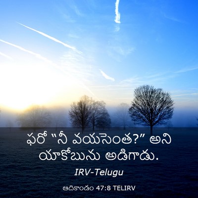 Picture 03 - ఆదికాండం 47:8 TELIRV - ఫరో “నీ వయసెంత?” - Bible Verse Picture