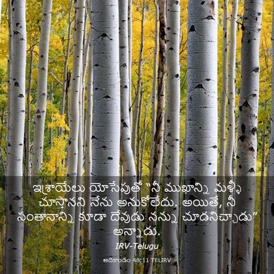 Picture 03 - ఆదికాండం 48:11 TELIRV - ఇశ్రాయేలు - Bible Verse Picture