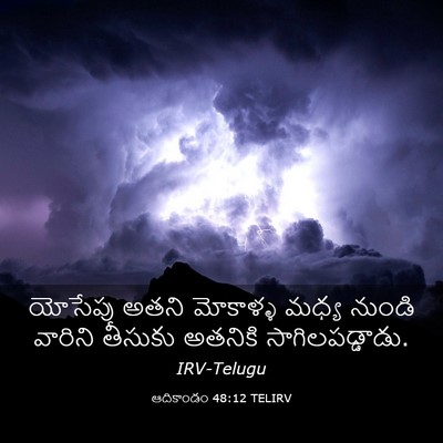 Picture 03 - ఆదికాండం 48:12 TELIRV - యోసేపు అతని - Bible Verse Picture