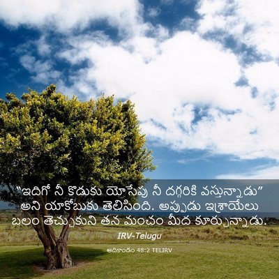 Picture 03 - ఆదికాండం 48:2 TELIRV - “ఇదిగో నీ కొడుకు - Bible Verse Picture