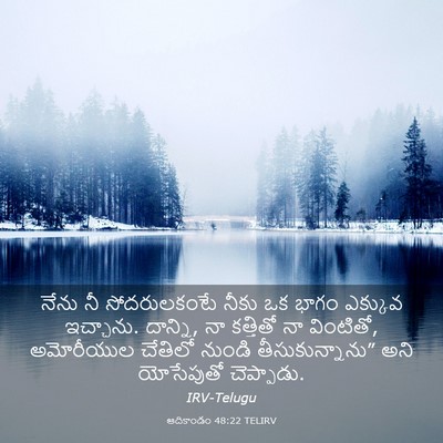 Picture 03 - ఆదికాండం 48:22 TELIRV - నేను నీ - Bible Verse Picture