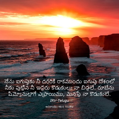 Picture 03 - ఆదికాండం 48:5 TELIRV - నేను ఐగుప్తుకు నీ - Bible Verse Picture