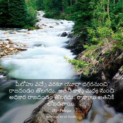 Picture 03 - ఆదికాండం 49:10 TELIRV - షిలోహు వచ్చే వరకూ - Bible Verse Picture