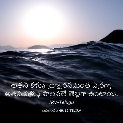 Picture 03 - ఆదికాండం 49:12 TELIRV - అతని కళ్ళు - Bible Verse Picture