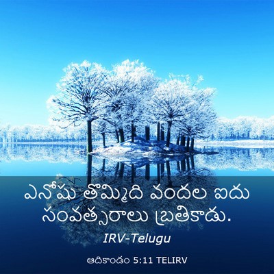 Picture 03 - ఆదికాండం 5:11 TELIRV - ఎనోషు తొమ్మిది - Bible Verse Picture