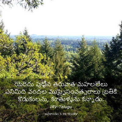 Picture 03 - ఆదికాండం 5:16 TELIRV - యెరెదు పుట్టిన - Bible Verse Picture