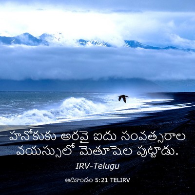 Picture 03 - ఆదికాండం 5:21 TELIRV - హనోకుకు అరవై ఐదు - Bible Verse Picture
