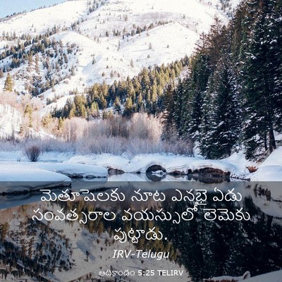 Picture 03 - ఆదికాండం 5:25 TELIRV - మెతూషెలకు నూట - Bible Verse Picture