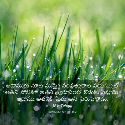 Picture 03 - ఆదికాండం 5:3 TELIRV - ఆదాముకు నూట - Bible Verse Picture