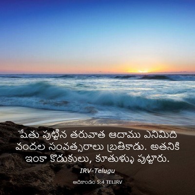 Picture 03 - ఆదికాండం 5:4 TELIRV - షేతు పుట్టిన - Bible Verse Picture