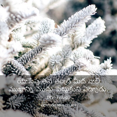 Picture 03 - ఆదికాండం 50:1 TELIRV - యోసేపు తన తండ్రి - Bible Verse Picture