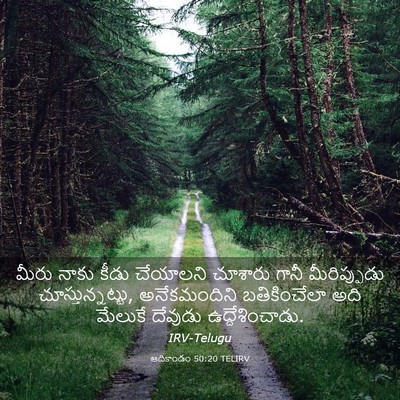 Picture 03 - ఆదికాండం 50:20 TELIRV - మీరు నాకు కీడు - Bible Verse Picture