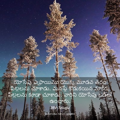 Picture 03 - ఆదికాండం 50:23 TELIRV - యోసేపు ఎఫ్రాయిము - Bible Verse Picture