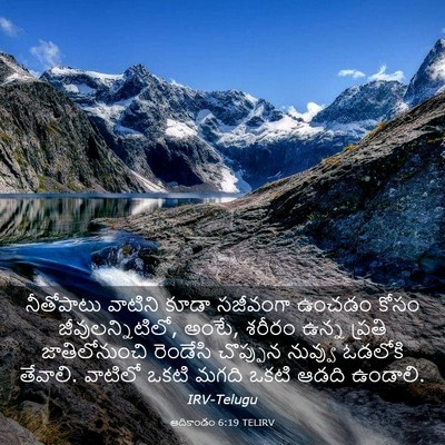 Picture 03 - ఆదికాండం 6:19 TELIRV - నీతోపాటు వాటిని - Bible Verse Picture