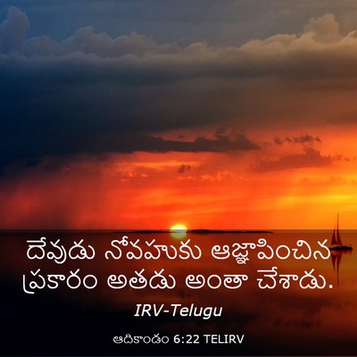 Picture 03 - ఆదికాండం 6:22 TELIRV - దేవుడు నోవహుకు - Bible Verse Picture