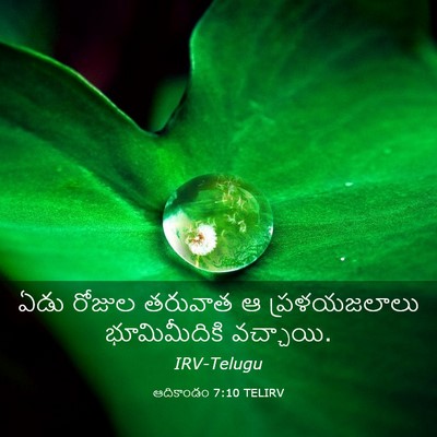 Picture 03 - ఆదికాండం 7:10 TELIRV - ఏడు రోజుల తరువాత ఆ - Bible Verse Picture
