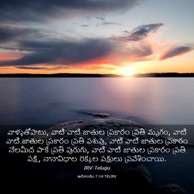 Picture 03 - ఆదికాండం 7:14 TELIRV - వాళ్ళతోపాటు, వాటి - Bible Verse Picture