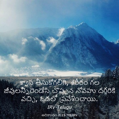 Picture 03 - ఆదికాండం 7:15 TELIRV - శ్వాస - Bible Verse Picture