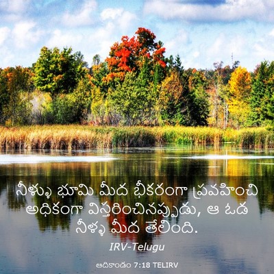 Picture 03 - ఆదికాండం 7:18 TELIRV - నీళ్ళు భూమి మీద - Bible Verse Picture