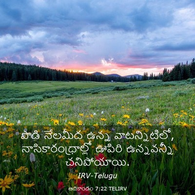 Picture 03 - ఆదికాండం 7:22 TELIRV - పొడి నేలమీద ఉన్న - Bible Verse Picture