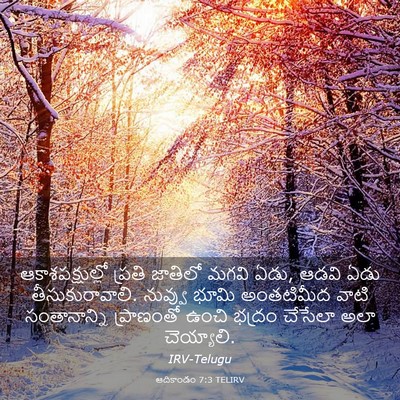 Picture 03 - ఆదికాండం 7:3 TELIRV - ఆకాశపక్షుల్లో - Bible Verse Picture