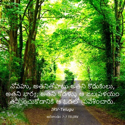 Picture 03 - ఆదికాండం 7:7 TELIRV - నోవహు, అతనితోపాటు - Bible Verse Picture