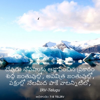 Picture 03 - ఆదికాండం 7:8 TELIRV - దేవుడు నోవహుకు - Bible Verse Picture