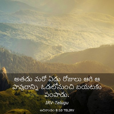 Picture 03 - ఆదికాండం 8:10 TELIRV - అతడు మరో ఏడు - Bible Verse Picture
