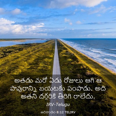 Picture 03 - ఆదికాండం 8:12 TELIRV - అతడు మరో ఏడు - Bible Verse Picture