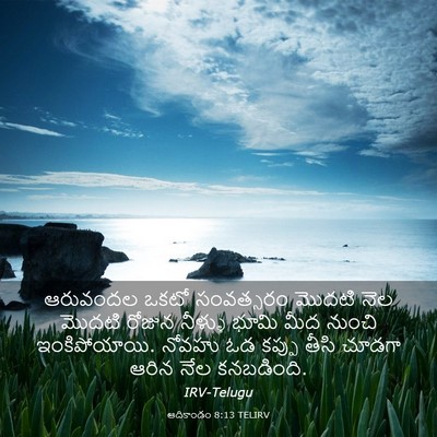Picture 03 - ఆదికాండం 8:13 TELIRV - ఆరువందల ఒకటో - Bible Verse Picture
