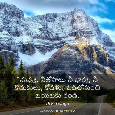 Picture 03 - ఆదికాండం 8:16 TELIRV - “నువ్వు, నీతోపాటు - Bible Verse Picture
