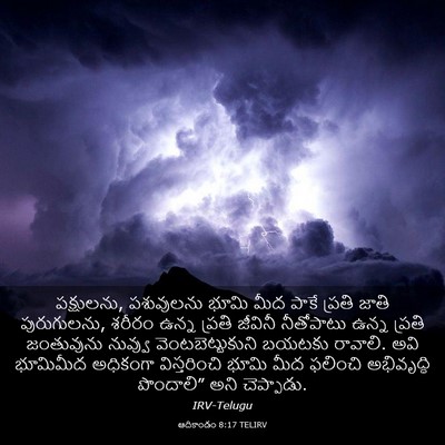 Picture 03 - ఆదికాండం 8:17 TELIRV - పక్షులను, - Bible Verse Picture