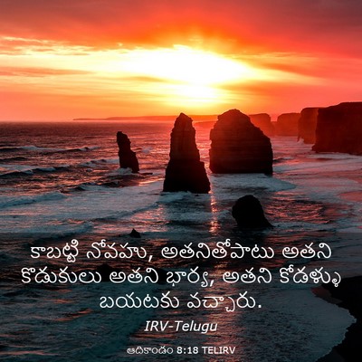 Picture 03 - ఆదికాండం 8:18 TELIRV - కాబట్టి నోవహు, - Bible Verse Picture