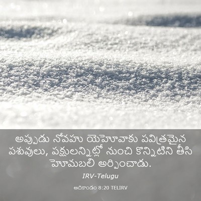Picture 03 - ఆదికాండం 8:20 TELIRV - అప్పుడు నోవహు - Bible Verse Picture