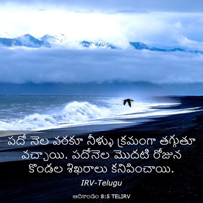 Picture 03 - ఆదికాండం 8:5 TELIRV - పదో నెల వరకూ - Bible Verse Picture