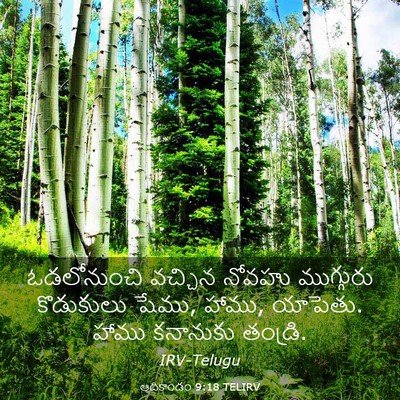 Picture 03 - ఆదికాండం 9:18 TELIRV - ఓడలోనుంచి వచ్చిన - Bible Verse Picture