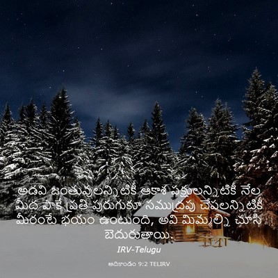 Picture 03 - ఆదికాండం 9:2 TELIRV - అడవి - Bible Verse Picture