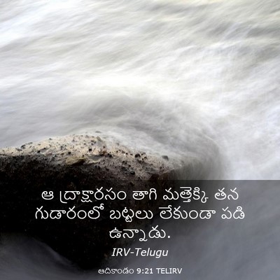 Picture 03 - ఆదికాండం 9:21 TELIRV - ఆ ద్రాక్షారసం - Bible Verse Picture