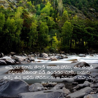 Picture 03 - ఆదికాండం 9:22 TELIRV - అప్పుడు కనాను - Bible Verse Picture