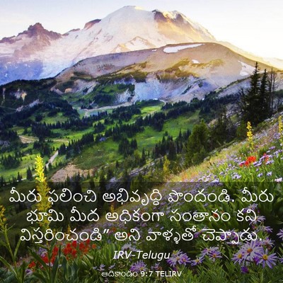Picture 03 - ఆదికాండం 9:7 TELIRV - మీరు ఫలించి - Bible Verse Picture