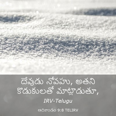 Picture 03 - ఆదికాండం 9:8 TELIRV - దేవుడు నోవహు, అతని - Bible Verse Picture