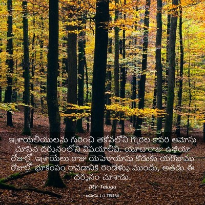 Picture 03 - ఆమోసు 1:1 TELIRV - ఇశ్రాయేలీయులను - Bible Verse Picture