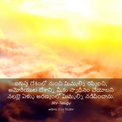 Picture 03 - ఆమోసు 2:10 TELIRV - ఐగుప్తు దేశంలో - Bible Verse Picture