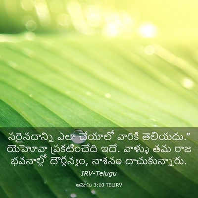 Picture 03 - ఆమోసు 3:10 TELIRV - సరైనదాన్ని ఎలా - Bible Verse Picture
