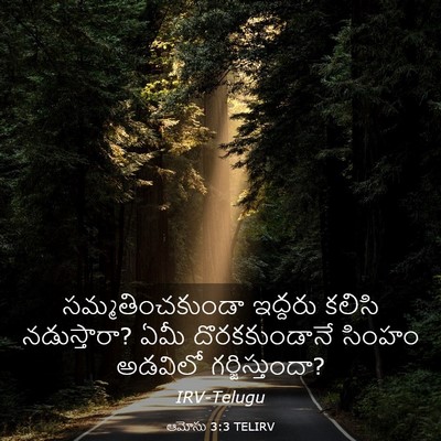 Picture 03 - ఆమోసు 3:3 TELIRV - సమ్మతించకుండా - Bible Verse Picture
