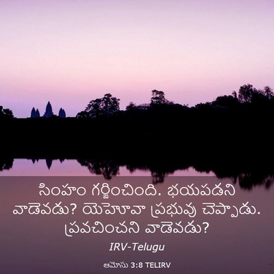 Picture 03 - ఆమోసు 3:8 TELIRV - సింహం - Bible Verse Picture