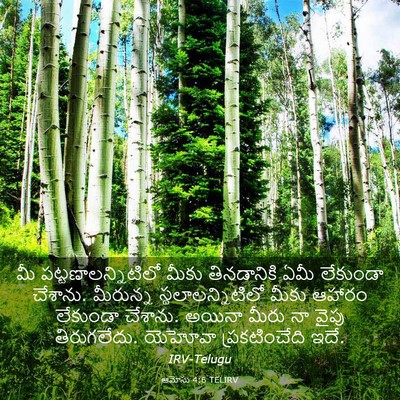 Picture 03 - ఆమోసు 4:6 TELIRV - మీ - Bible Verse Picture