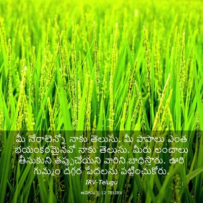 Picture 03 - ఆమోసు 5:12 TELIRV - మీ నేరాలెన్నో - Bible Verse Picture